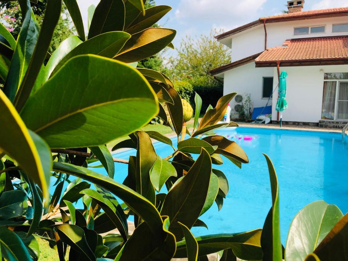 היסריה Villa Nymphea Water Lily מראה חיצוני תמונה